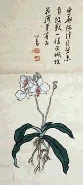 溥儒 花卉 镜心 设色纸本