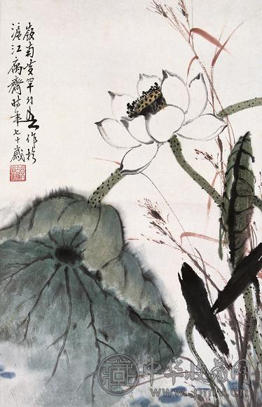 黄幻吾 荷花 立轴