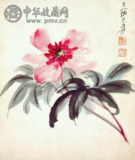 张大千 近现代 折枝芍药 镜心