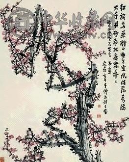 张寒杉 梅花 镜心 设色纸本