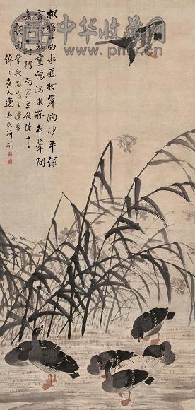 边寿民 丙寅(1746年)作 芦雁图 立轴 设色纸本