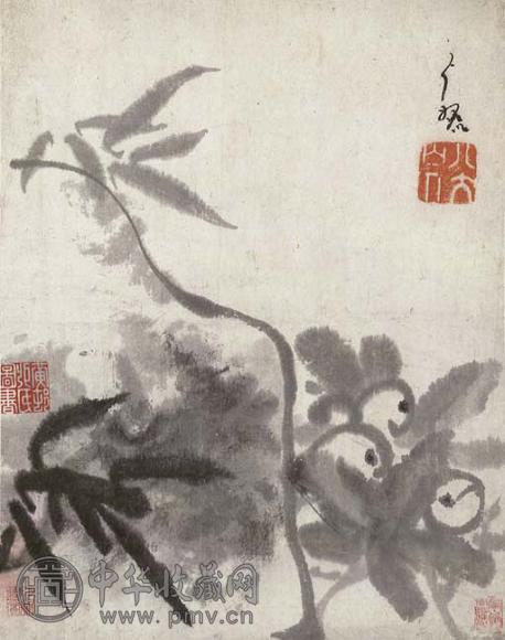 八大山人 枇杷 立轴 水墨纸本