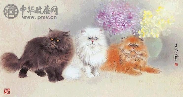 近现代 林湖奎 波斯猫 镜心