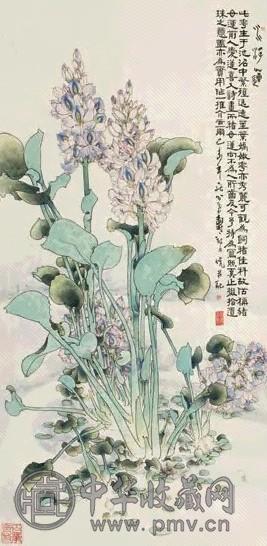郑乃珖 己未(1979年)作 水浮莲 镜心 设色纸本