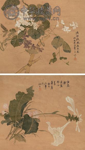 汤世澍 好花图 立轴 设色纸本