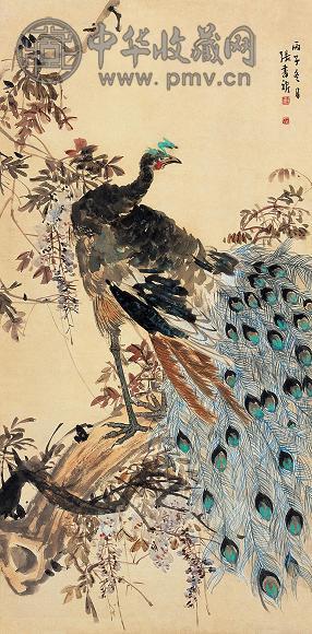 张书旂 丙子(1936年)作 孔雀 立轴 设色纸本