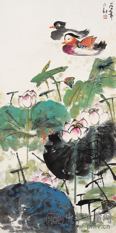 杨振新 1977年作 荷花鸳鸯 立轴