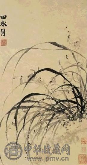 明 徐渭 兰花 轴