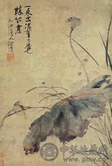 明 徐渭 荷塘小鸟 轴