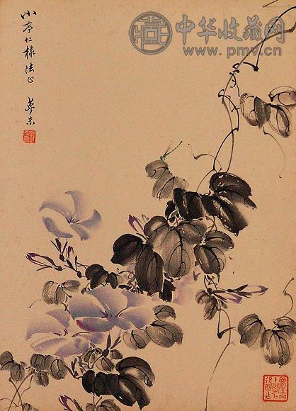 赵梦朱 花卉 镜心