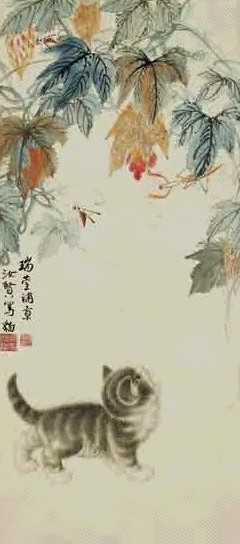 曹克家 猫 立轴