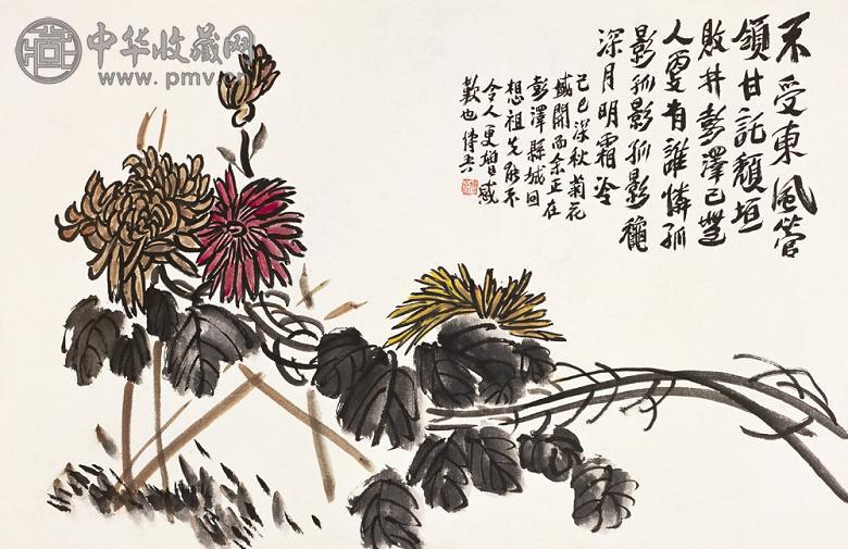 陶博吾 1989年作 菊花图 镜心 设色纸本