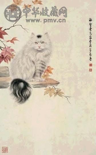 曹克家 猫 镜心 设色纸本