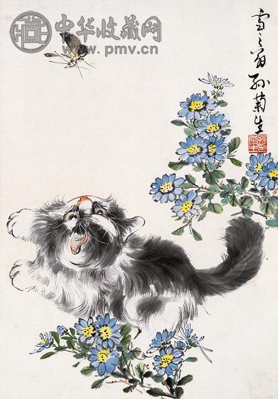 孙菊生 猫 镜心 纸本