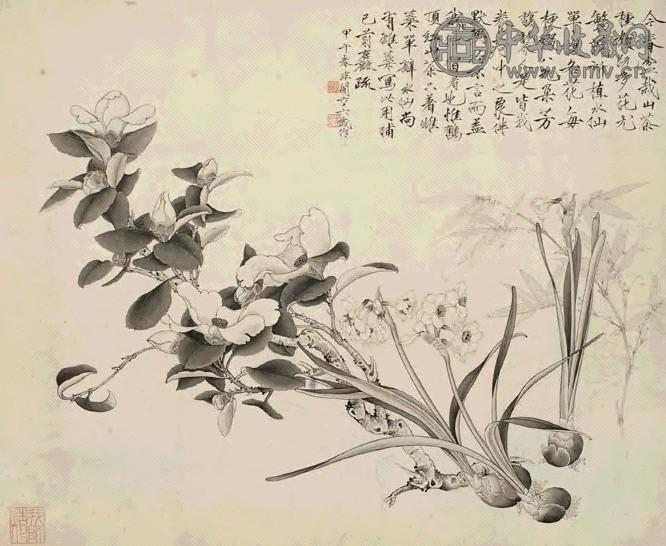 于非闇 甲午(1954年)作 白描水仙、山茶图 镜心 水墨纸本