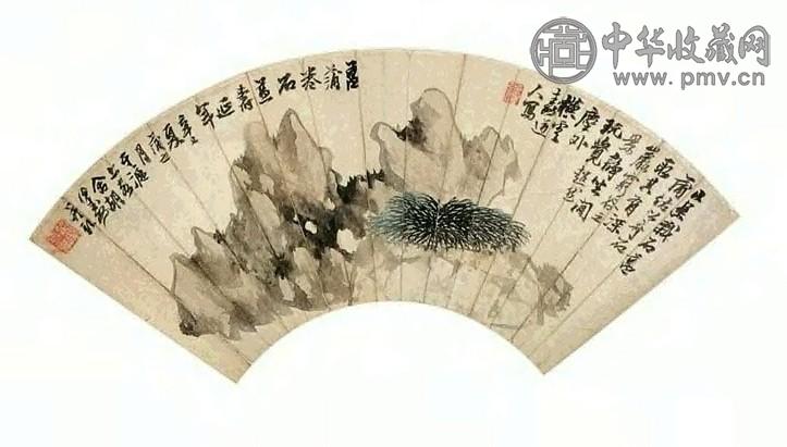 胡公寿 蒲草寿石 扇面 纸本