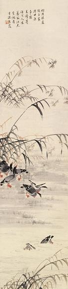 吴青霞 芦雁图 镜心 设色纸本